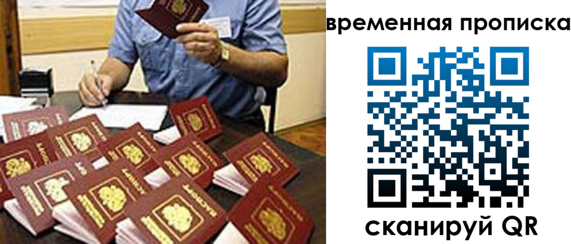 прописка для школы в Ростовской области